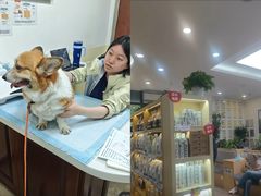 -美联众合动物医院·24h转诊中心