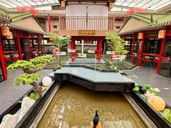 -老山东·山东菜(鲁菜名店)