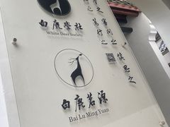 -白鹿洞书院