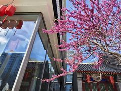 -魅KTV·AI辅唱(簋街店)