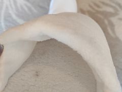 -杭州城中香格里拉大酒店