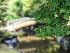 -京都御所