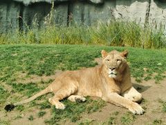 -北京野生动物园