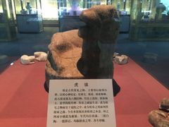 -古陶文明博物馆