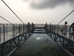 -呀诺达热带雨林