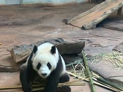 -二一九公园
