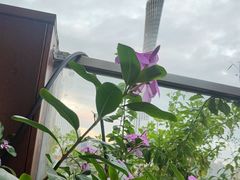 -小茶闲舍·观景商务茶馆(广州塔店)
