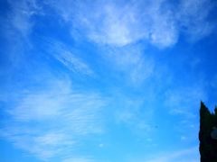 -大金山风景区