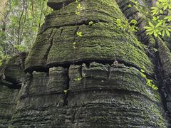 -梭布垭石林景区