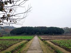 -八卦田遗址公园
