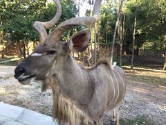 -清迈夜间动物园