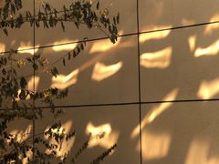 -天津东丽湖风景区