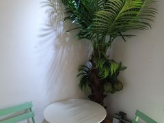 -津椰本·海南正宗椰奶清补凉(店一店)