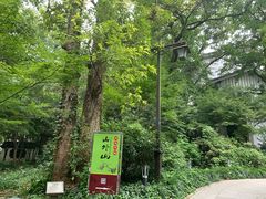 -山外山菜馆(玉泉路店)