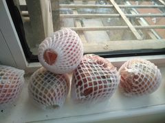 -果乐多生鲜超市(宏业广场店)