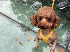 -丹东天桥沟景区