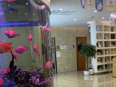 -宝龙城(杭州滨江店)