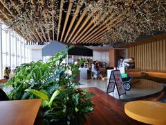 大堂-Seesaw Coffee(朝阳大悦城店)