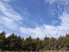 -白草畔自然风景区