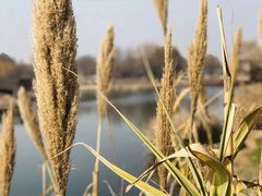 -上海辰山植物园
