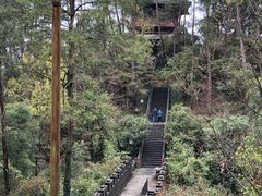 -梦姑塘文化公园