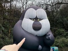 -红山森林动物园