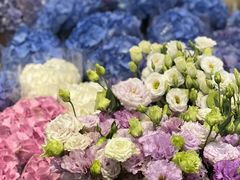 -双季花艺园艺市场(浦东店)