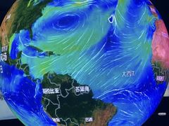 -贝林大翅鲸简餐厅(国家海洋博物馆店)