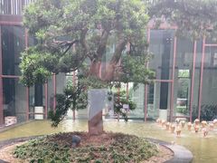 -上海崇明金茂凯悦酒店