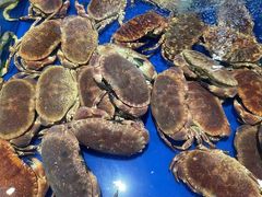 -三亚火车头万人海鲜广场