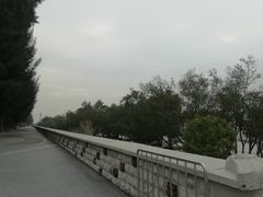 景点-宝安西湾红树林湿地公园