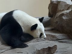 -宁波野生动物园