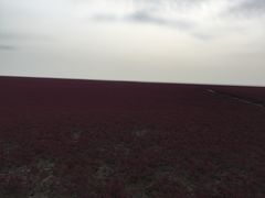 -红海滩国家风景廊道