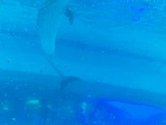 -波塞冬旅游度假区