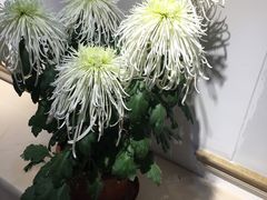 -汇龙潭