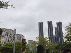 -聚龙山公园