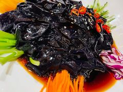 农家大拉皮-宝轩渔府·老字号海鲜·正宗津菜(水上店)