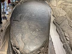 -白鹤梁水下博物馆
