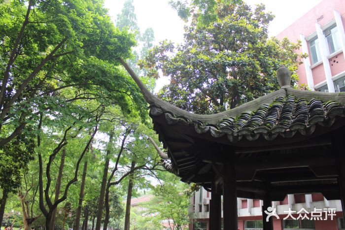 浙江省杭州高级中学(贡院校区)图片