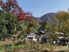 -塔川景区
