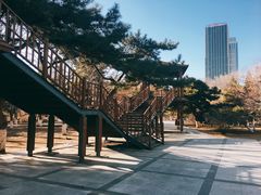 景点-沈阳中山公园