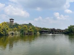 -张坝桂圆林公园