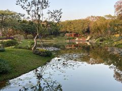 -云溪植物园