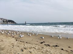 -海云台海滩