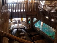 -长鹿旅游休博园