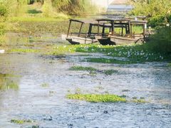 -梁鸿国家湿地公园