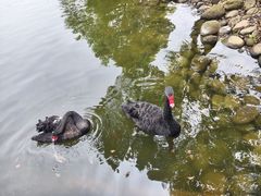-鄱阳湖国家湿地公园