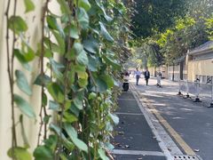 -颐和路民国时期公馆风貌区