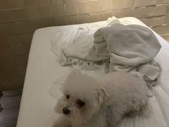 -禧瑞 ·丝浴主题·水疗·spa(中山公园店)