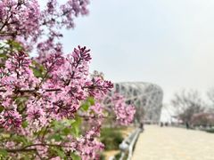 -北京奥林匹克公园